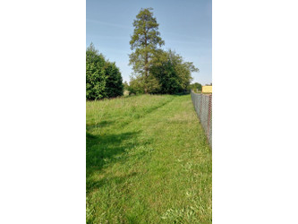 Działka łódzkie
poddębicki
Pęczniew
Łyszkowice Na sprzedaż 175 000 PLN 3500 m2 