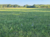 Działka mazowieckie
grójecki
Chynów
Jakubowizna Na sprzedaż 230 000 PLN 1300 m2 