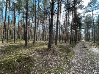 Działka mazowieckie
garwoliński
Wilga
Nowy Żabieniec Na sprzedaż 125 000 PLN 1000 m2 