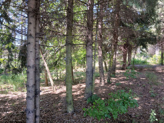 Działka łódzkie
łowicki
Łowicz
Strzelcew Na sprzedaż 171 000 PLN 1368 m2 
