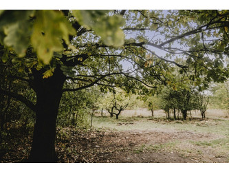 Działka mazowieckie
piaseczyński
Góra Kalwaria
Solec Na sprzedaż 552 000 PLN 1200 m2 