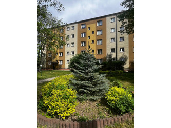 Mieszkanie mazowieckie
Radom Na sprzedaż 220 000 PLN 38 m2 