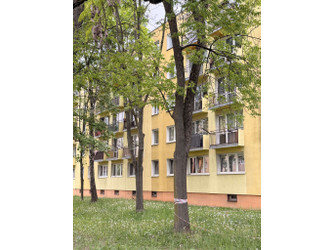 Mieszkanie łódzkie
Łódź
Górna
Chojny-Dąbrowa Na sprzedaż 369 000 PLN 44 m2 