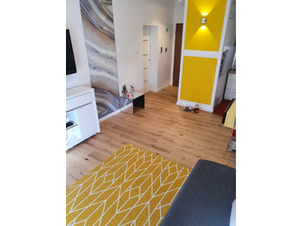 Mieszkanie podlaskie
Białystok
Centrum Do wynajęcia 1650 PLN 28 m2 