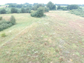 Działka wielkopolskie
gnieźnieński
Trzemeszno
Niewolno Na sprzedaż 1 466 000 PLN 65 500 m2 