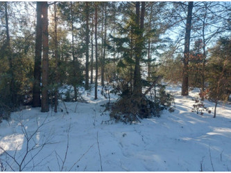 Działka pomorskie
wejherowski
Linia
Zakrzewo Na sprzedaż 199 081 PLN 3540 m2 