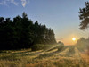 Działka mazowieckie
żyrardowski
Puszcza Mariańska
Karnice Na sprzedaż 312 000 PLN 5200 m2 