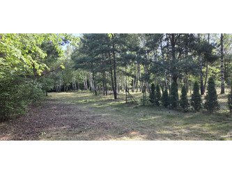 Działka łódzkie
łódzki wschodni
Tuszyn
Zofiówka Na sprzedaż 300 000 PLN 1500 m2 