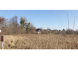 Działka dolnośląskie
Wrocław Do wynajęcia 115 PLN 6500 m2 