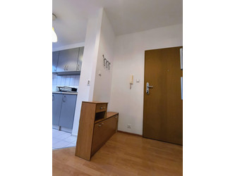 Mieszkanie wielkopolskie
Poznań
Nowe Miasto Do wynajęcia 1600 PLN 31,5 m2 