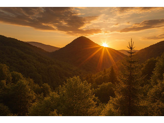 Działka podkarpackie
leski
Baligród
Bystre Na sprzedaż 215 000 PLN 1445 m2 