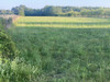 Działka mazowieckie
grójecki
Chynów
Jakubowizna Na sprzedaż 220 000 PLN 1250 m2 