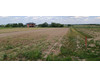 Działka mazowieckie
pruszkowski
Raszyn
Falenty Nowe Na sprzedaż 659 600 PLN 970 m2 
