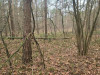 Działka mazowieckie
sokołowski
Sokołów Podlaski
Przywózki Na sprzedaż 16 822 PLN 3305 m2 