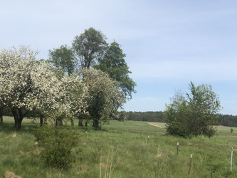 Działka podlaskie
kolneński
Mały Płock
Kołaki-Wietrzychowo Na sprzedaż 250 000 PLN 7900 m2 