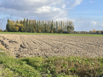 Działka mazowieckie
warszawski zachodni
Ożarów Mazowiecki
Umiastów Na sprzedaż 5 130 000 PLN 17 100 m2 