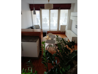 Mieszkanie mazowieckie
Warszawa
Białołęka Do wynajęcia 3500 PLN 42,5 m2 