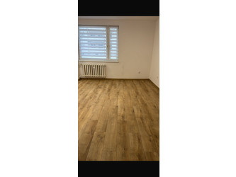 Mieszkanie pomorskie
malborski
Malbork Do wynajęcia 1000 PLN 28 m2 