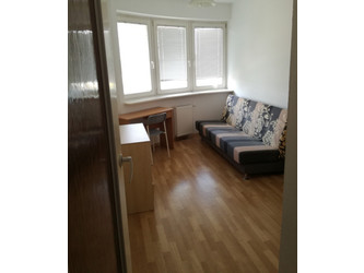 Pokój mazowieckie
Warszawa
Ursus Do wynajęcia 1200 PLN 