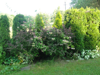 Działka małopolskie
gorlicki
Ropa
Klimkówka Na sprzedaż 400 000 PLN 1704 m2 