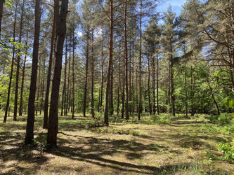 Działka mazowieckie
otwocki
Józefów Na sprzedaż 1 150 000 PLN 1520 m2 