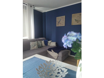 Mieszkanie śląskie
będziński
Będzin Na sprzedaż 289 000 PLN 51,4 m2 