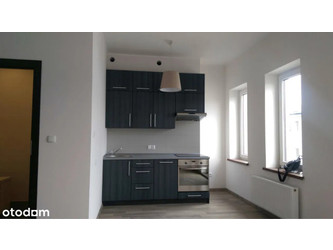 Mieszkanie śląskie
Chorzów Do wynajęcia 1800 PLN 42 m2 