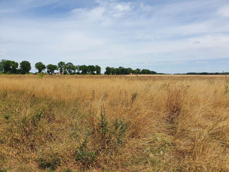 Działka dolnośląskie
polkowicki
Radwanice
Radwanice Na sprzedaż 971 700 PLN 34 700 m2 