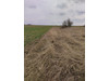 Działka opolskie
strzelecki
Strzelce Opolskie
Ligota Dolna Na sprzedaż 115 000 PLN 2552 m2 