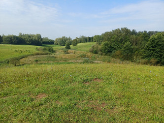 Działka warmińsko-mazurskie
olecki
Świętajno
Orzechówko Na sprzedaż 1 529 500 PLN 218 500 m2 