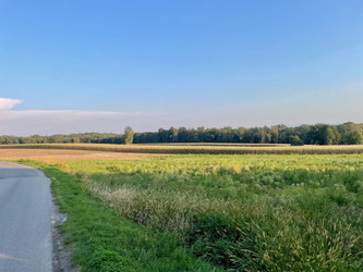 Działka śląskie
pszczyński
Pszczyna
Poręba Na sprzedaż 175 000 PLN 1075 m2 