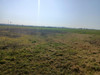 Działka wielkopolskie
szamotulski
Kaźmierz
Kaźmierz Na sprzedaż 202 000 PLN 1010 m2 