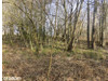 Działka małopolskie
gorlicki
Łużna
Biesna Na sprzedaż 83 230 PLN 73 478 m2 