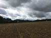 Działka małopolskie
krakowski
Skała
Minoga Na sprzedaż 210 000 PLN 3000 m2 